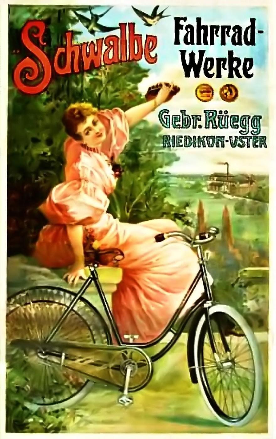 Schwalbe 1900