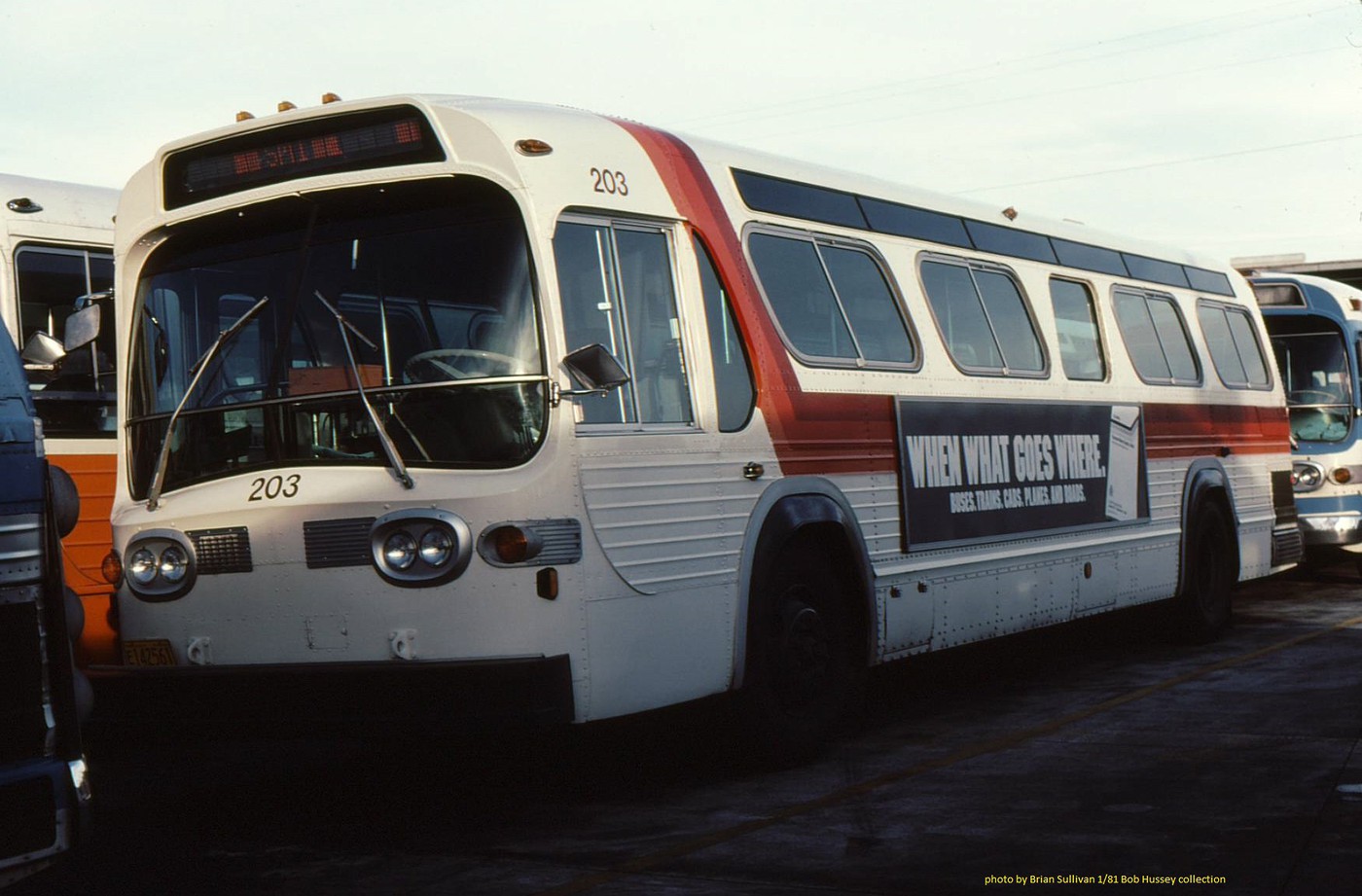 Photo: trimet 203f | Portland album | Esbdave | Fotki.com, photo and ...