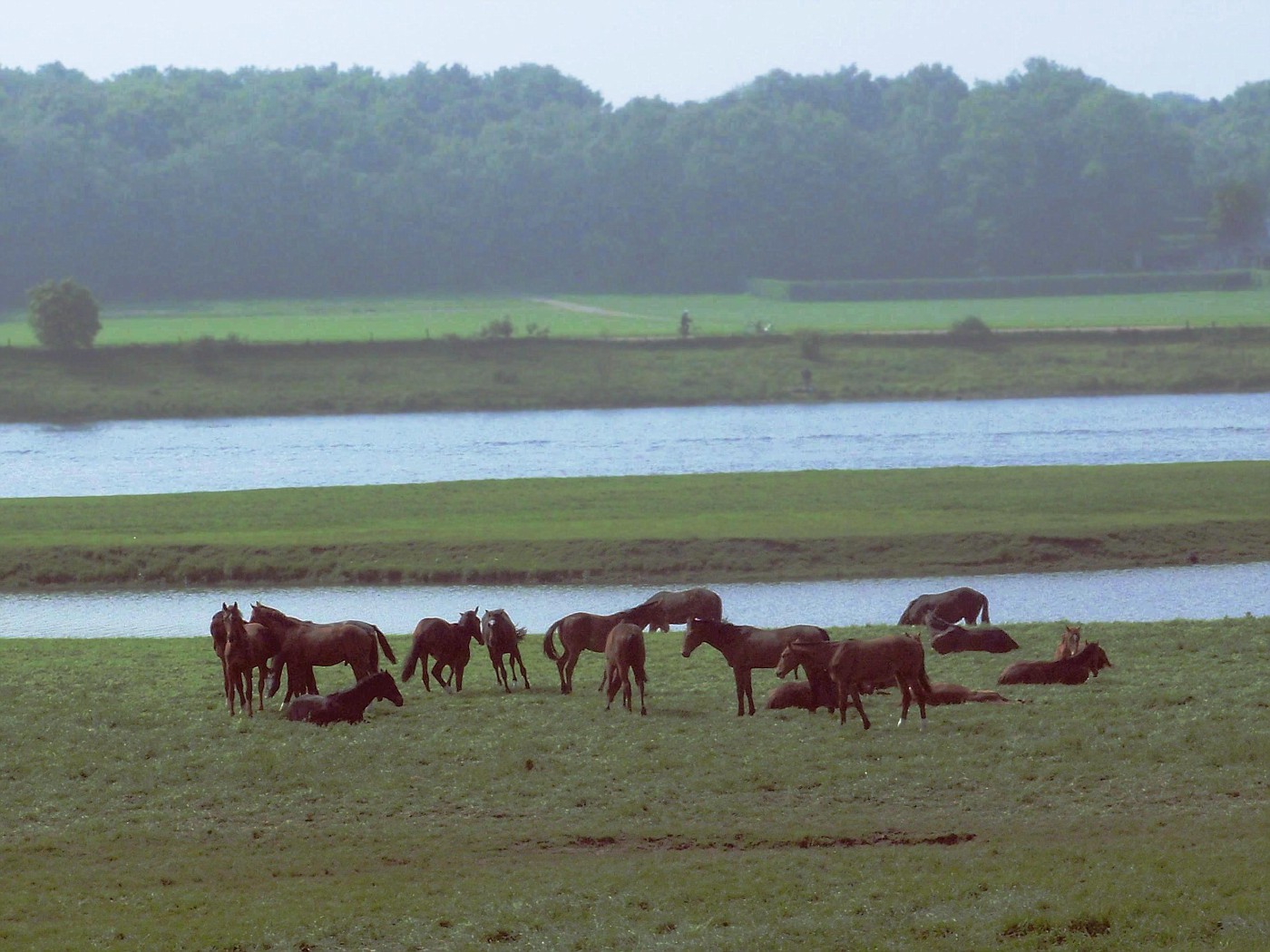 An der Maas