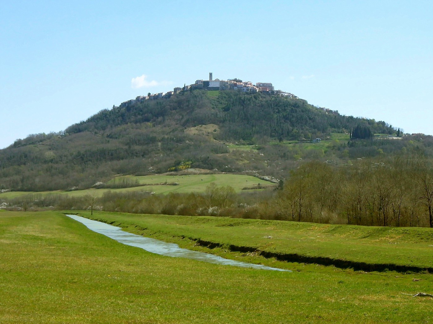 Blick auf Motovun