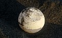 Egg from a destroyed turtle nest