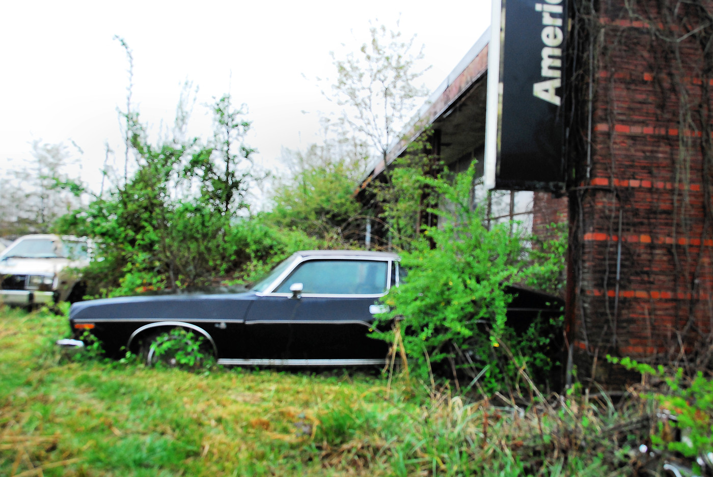 2009 Visit to Collier Motors Last AMC Dealership album