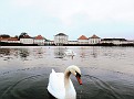 Schloss Nymphenburg