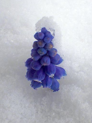 Glockentürmchen am 1. April