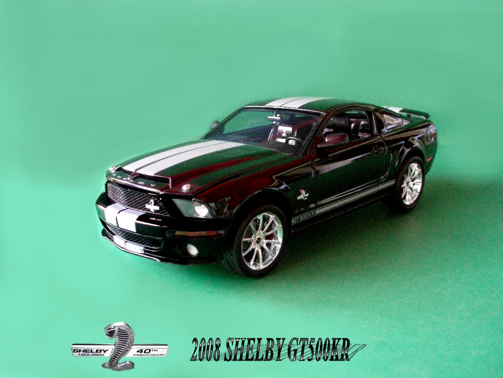 manteaux shelby