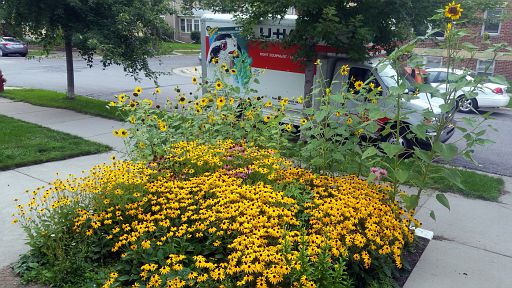 2017-08-20 17.56.29.jpg