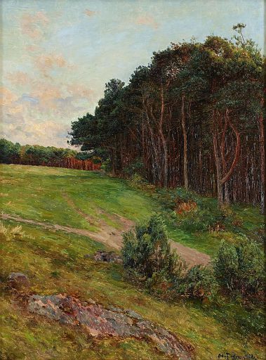 Landscape from Stalburg (1881)
