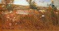Poppies, Isles of Shoals [1890]