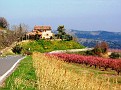 Monte Mauro