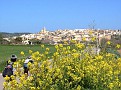 Montuïri