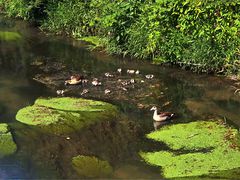 Familie beim Picknick auf der Emmer