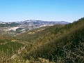 Vela Griža
