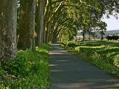 Radweg mit Sonnendach