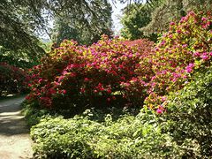 Schlossgarten