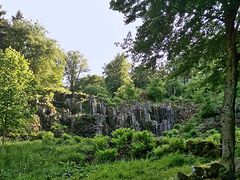 Burgwald