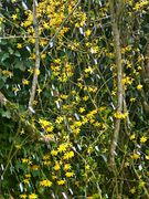 Der April macht was er will