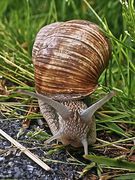 Gerlinde auf Wanderschaft