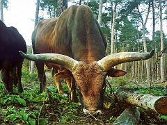 Oha, wesentlich breiter als 'ne Fahrradlenkstange :-)