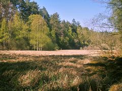 Furlbach Quellmoor