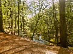 Furlbach