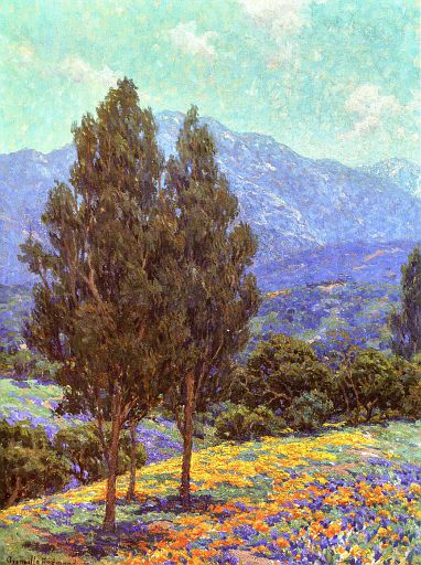 Poppies (undated)