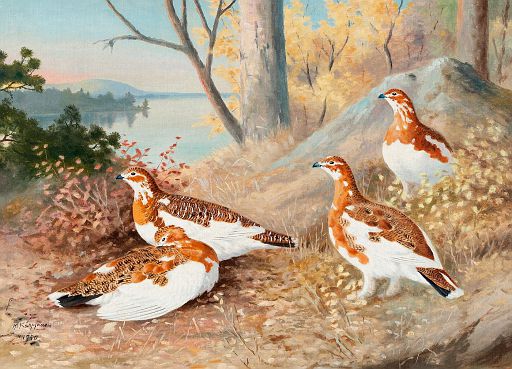 Autumn Birds (1950)