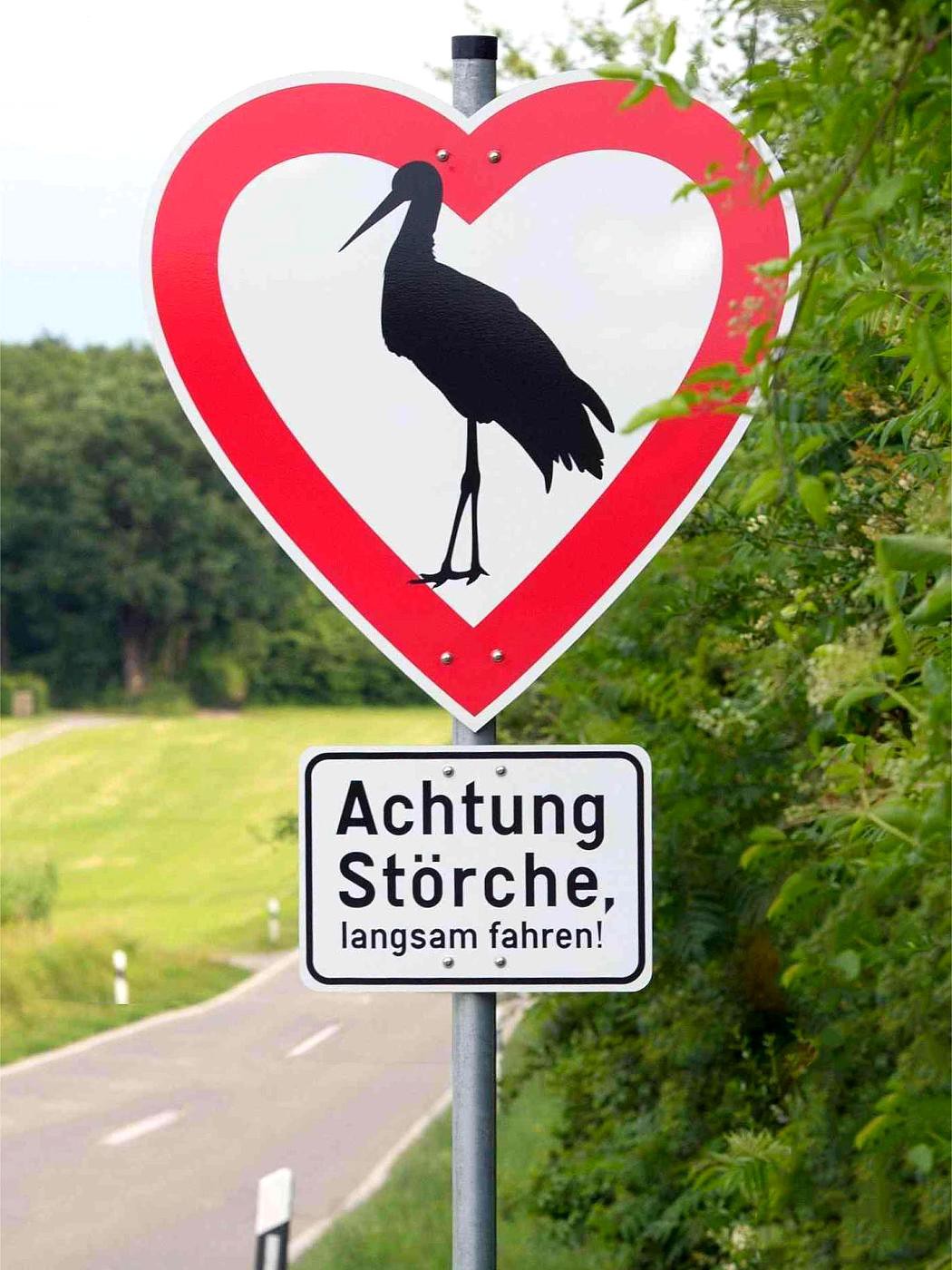 Achtung Störche