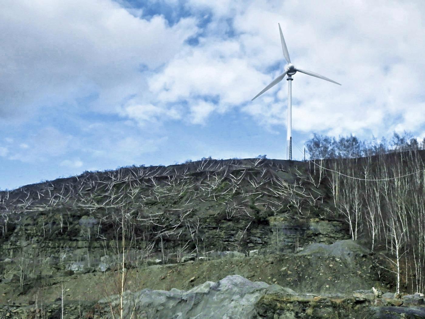 Windkraftwerk auf Birkenmüsli