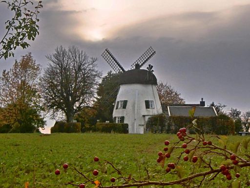 Windmühle Fissenknick