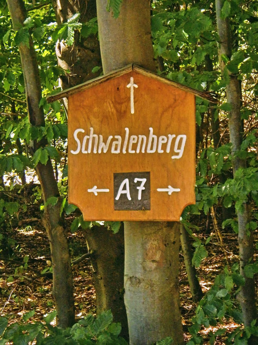 Alle Wege führen nach Schwalenberg :-)