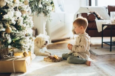 HVAC Air FIlter Air Filter Sizes - View of a child with the family dog sitting in the middle of a beautiful living room with a Christmas tree on the side. 
