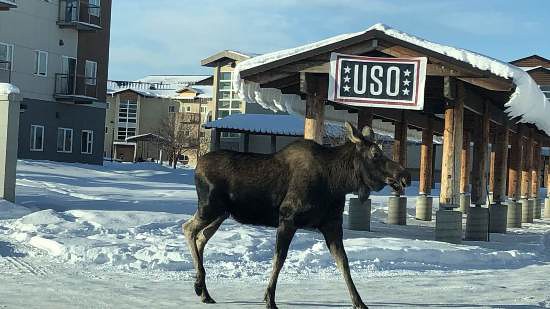 AKjbelmendorfrichardson6