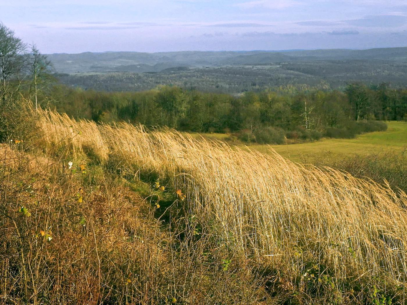 Blick vom Köterberg