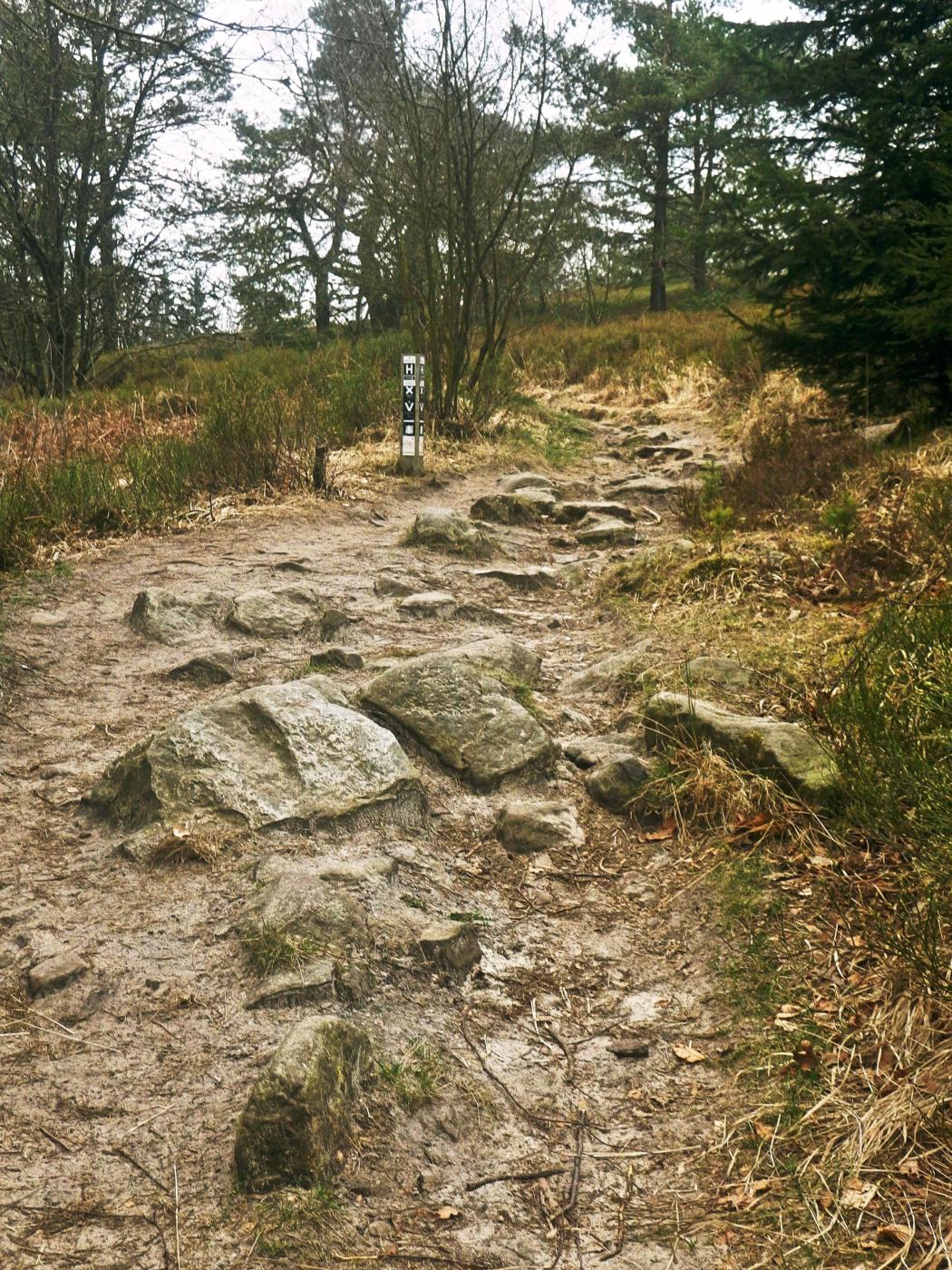 Komfort-Pflasterung der Velmerstot-Route :o)