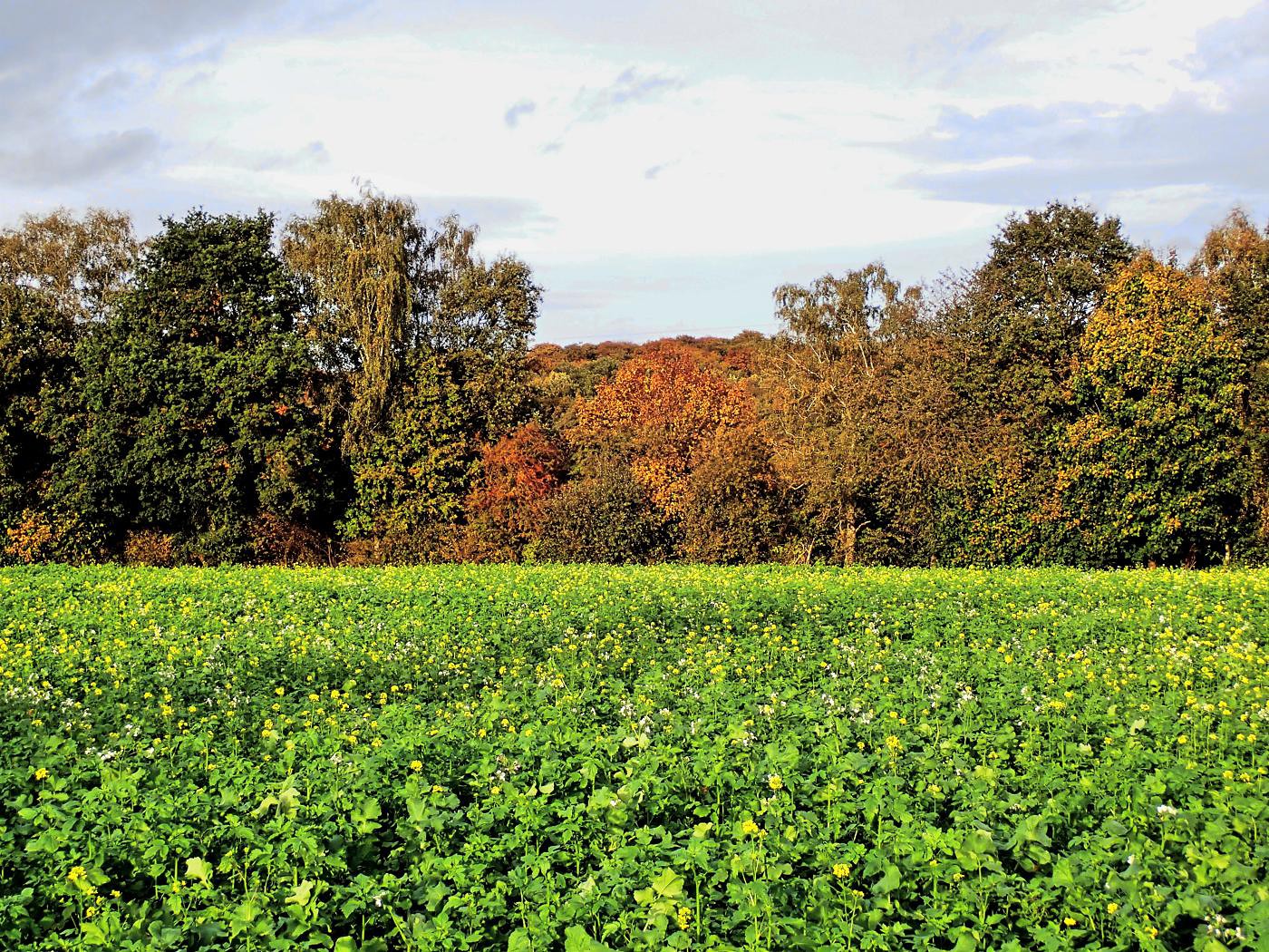 Herbstfarben
