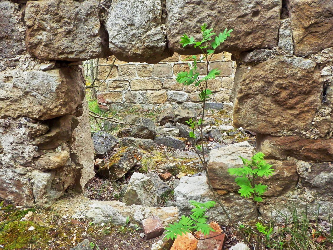 Fenster Ruine