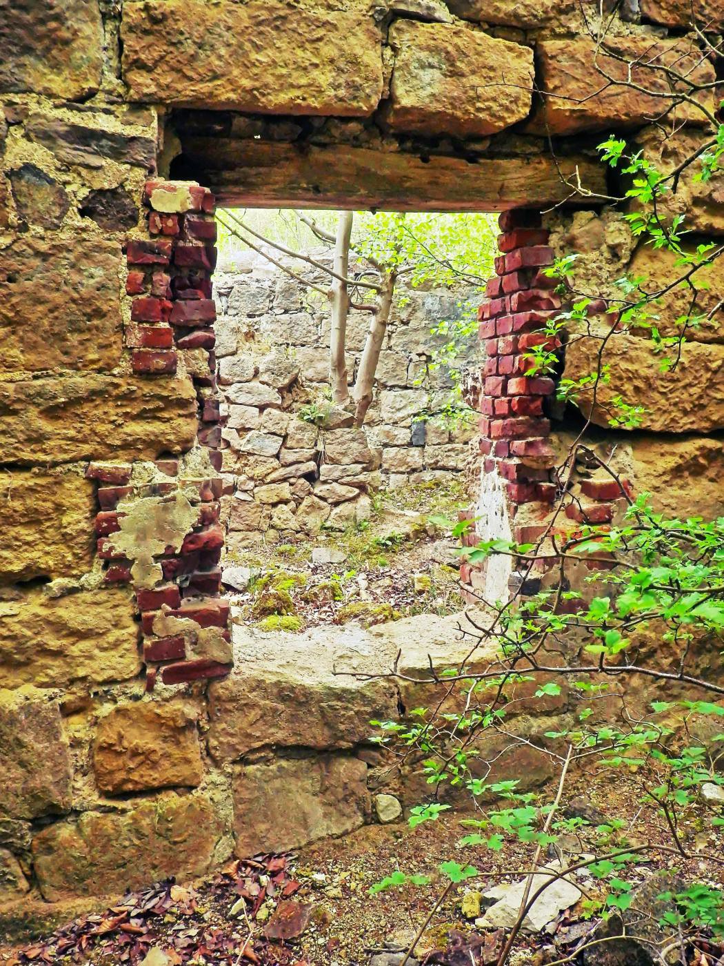 Fenster Ruine