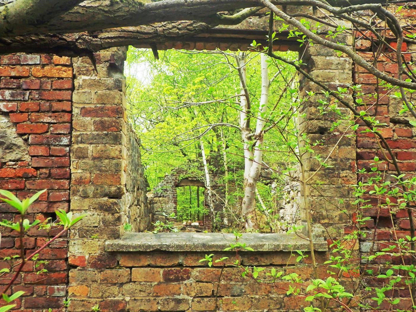 Fenster Ruine