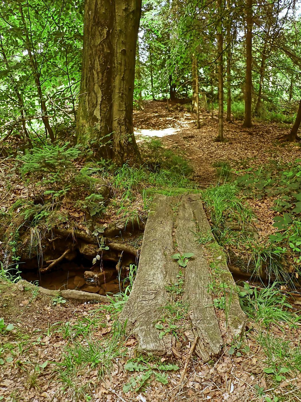 Brücke über den Klingenbach