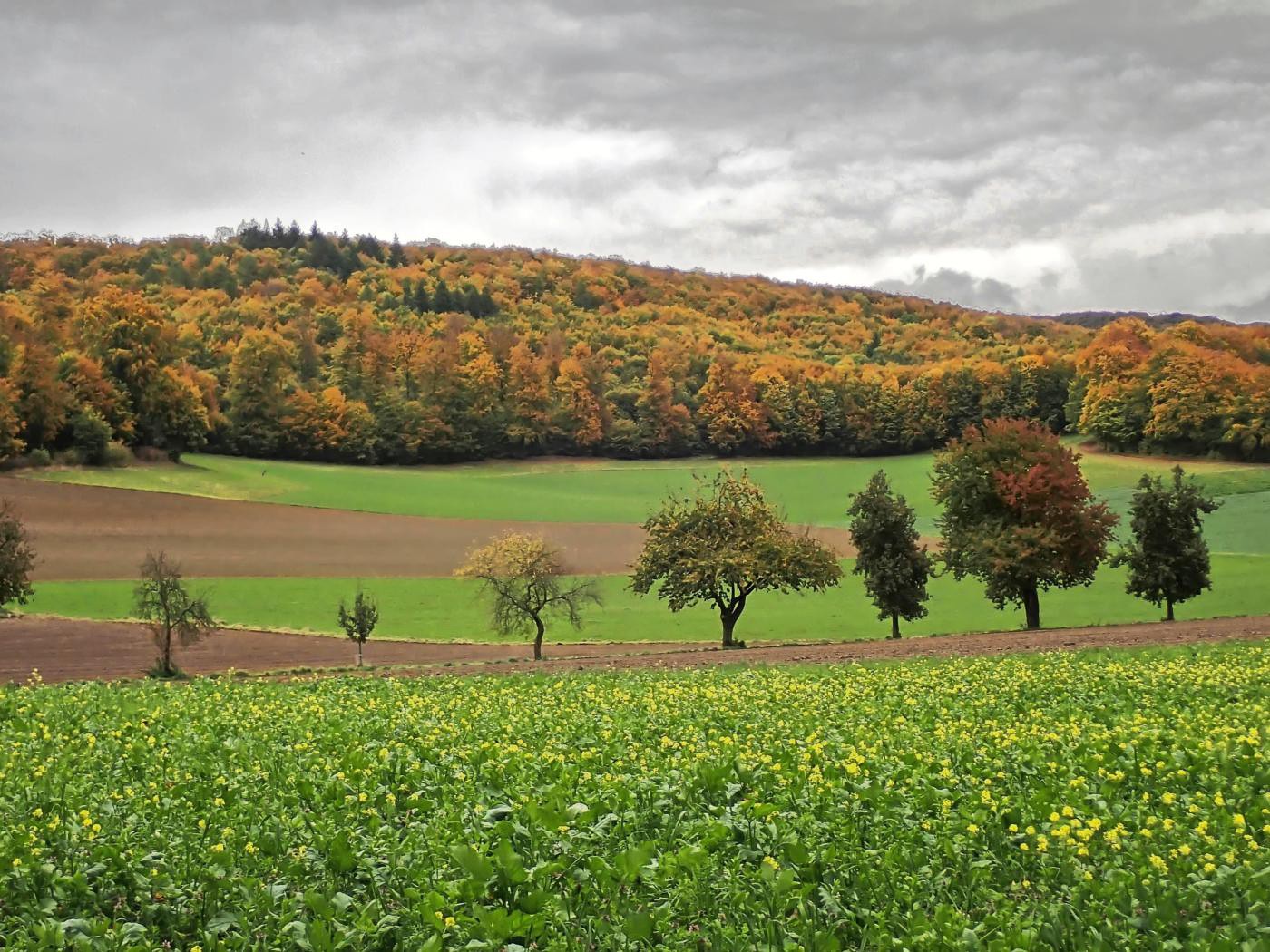 Feuchter Herbst