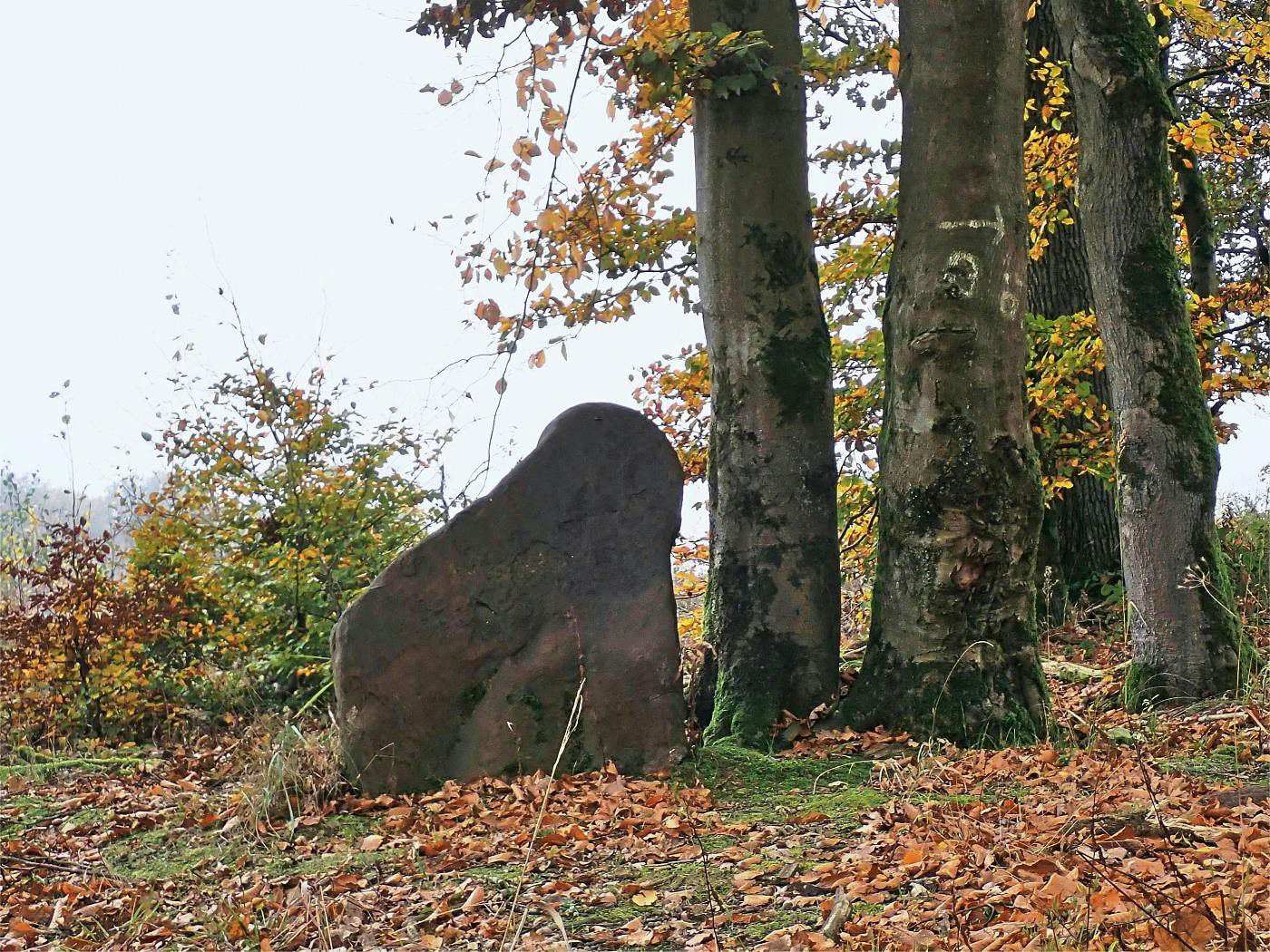 Gipfelstein Herbstberg