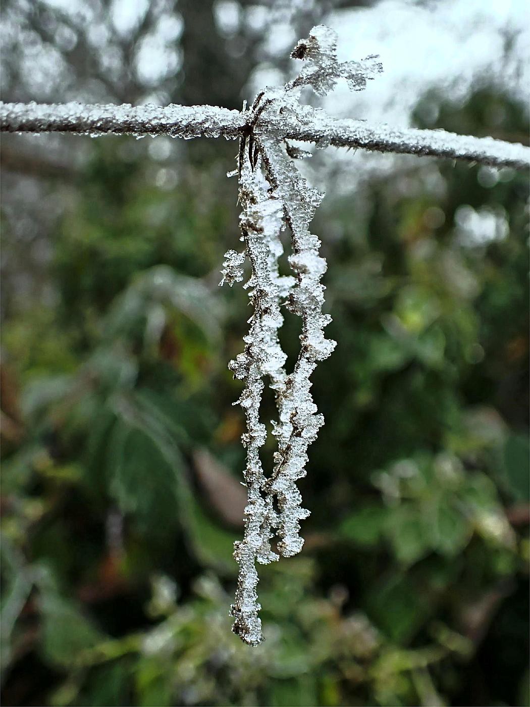 Frostige Girlande