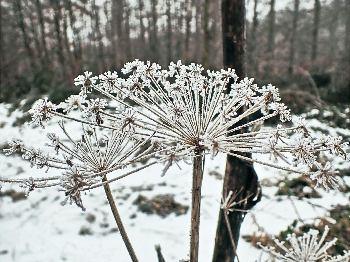 Eis und Schnee