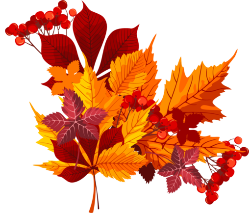 Photo: 5ff8c3f0b0d17d1e1de61c3f73b4012d-removebg-preview | Autumn pngs ...