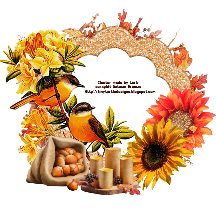 Autumn Dreams (76)