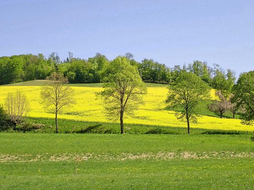 Grün und gelb