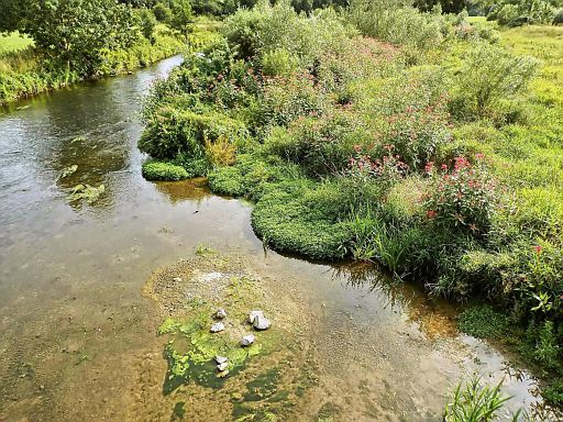 Emmer bei Amelgatzen