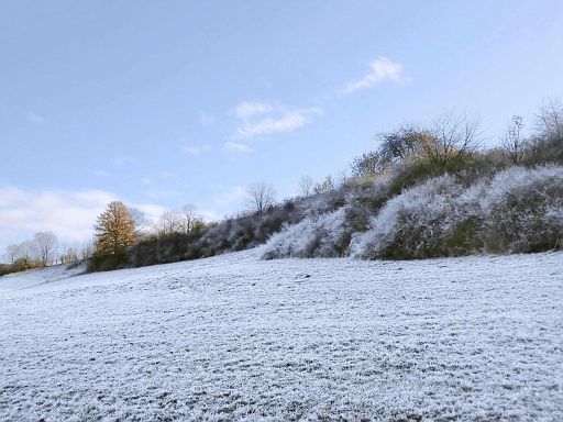 Frostige Landschaft