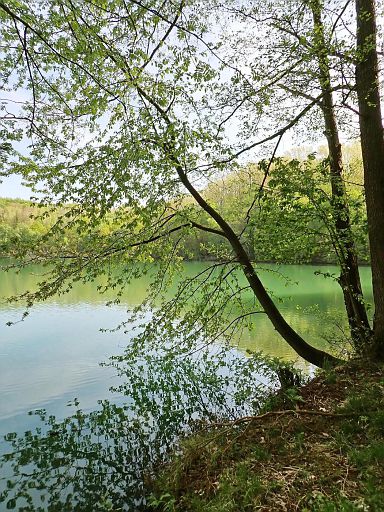 Bruchsee