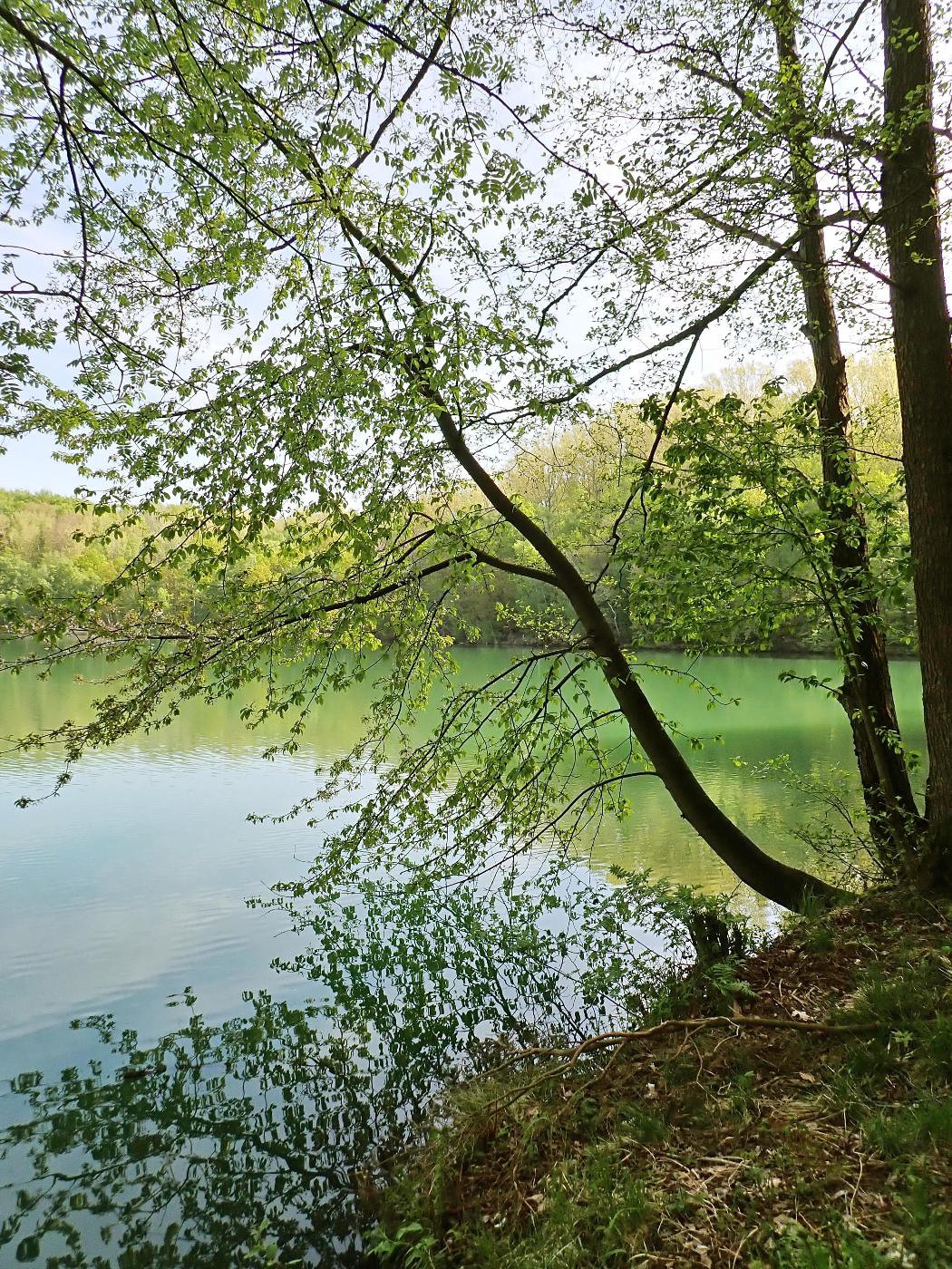 Bruchsee